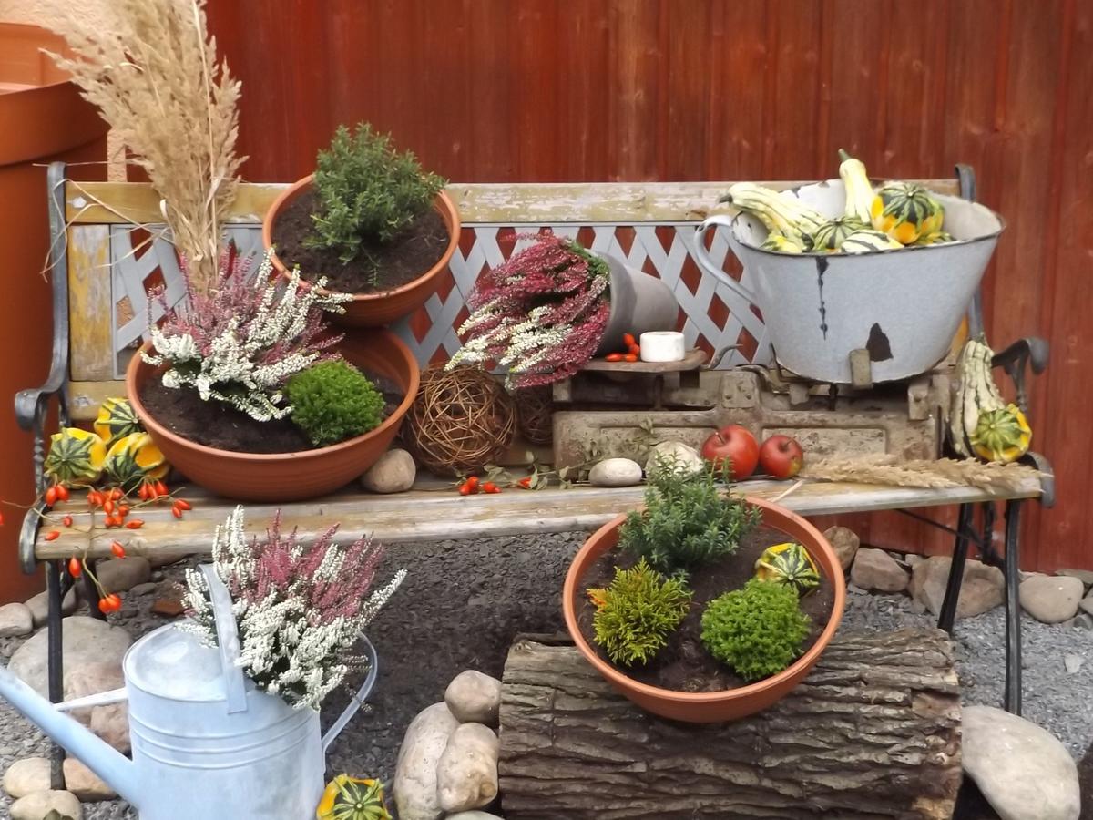 Cosy Apartment With In Pirna With Private Terrace Екстериор снимка
