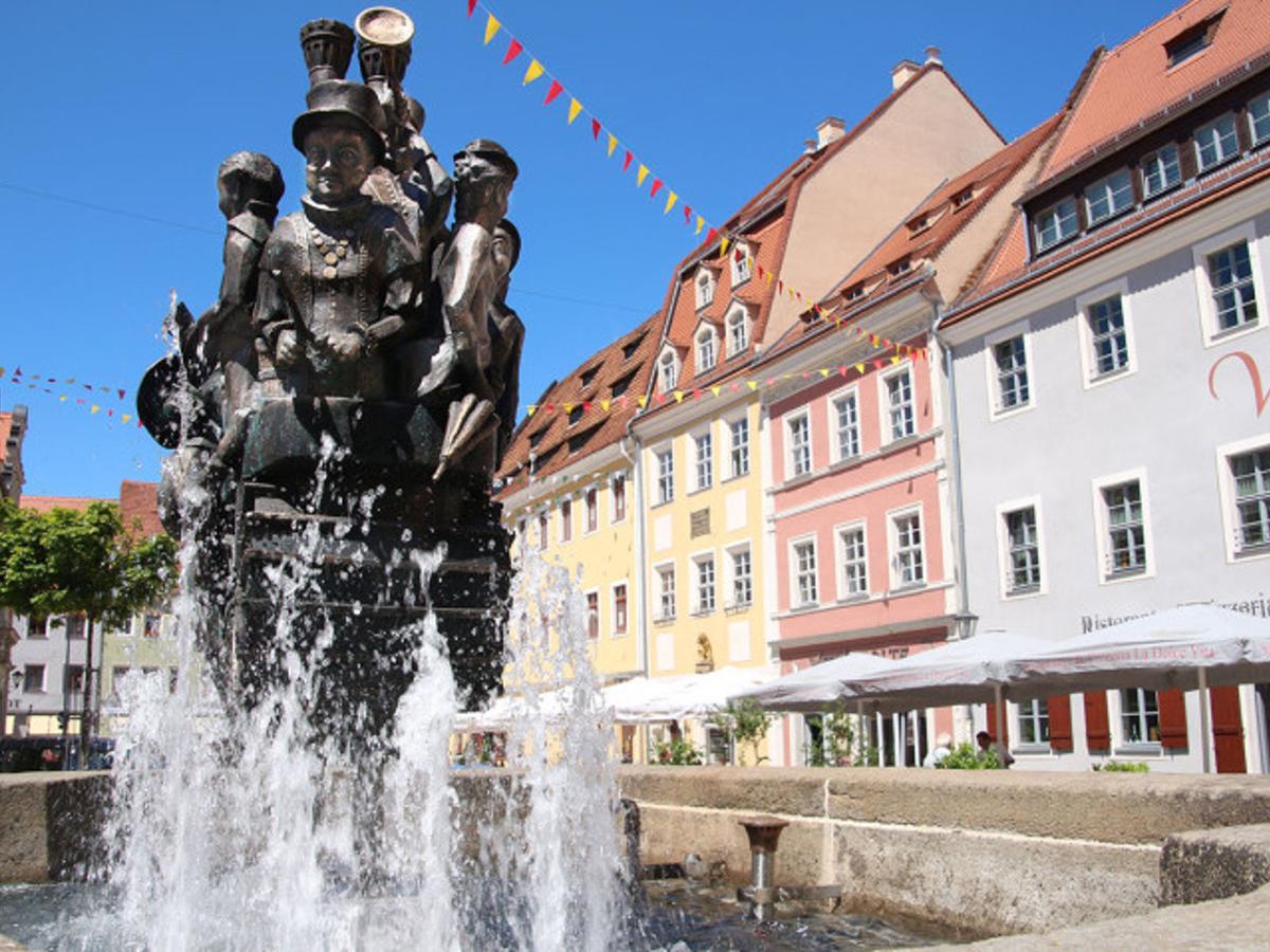 Cosy Apartment With In Pirna With Private Terrace Екстериор снимка